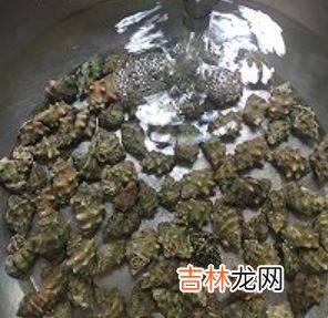 辣螺怎么吃