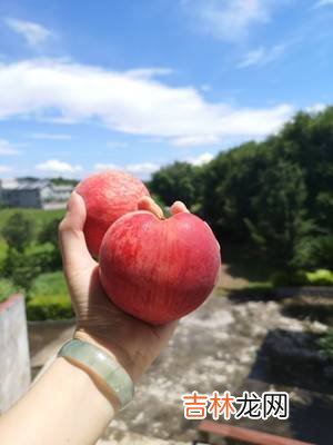 桃子可以怎么做着吃吗