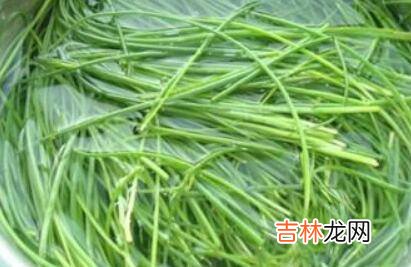 沙葱怎么拌凉菜