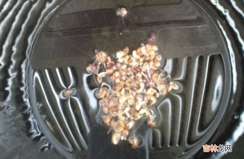 菜椒怎么做好吃又简单