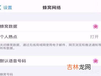 怎么查苹果11是不是双卡双待?