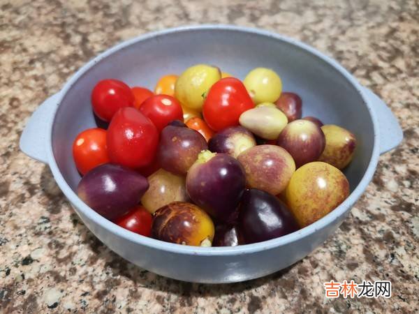 七彩椒怎么泡好吃