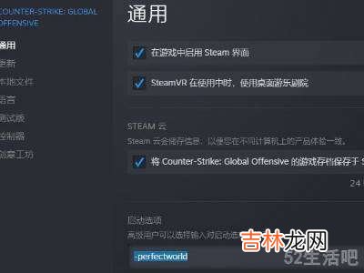 新版steam设置启动项不见了?