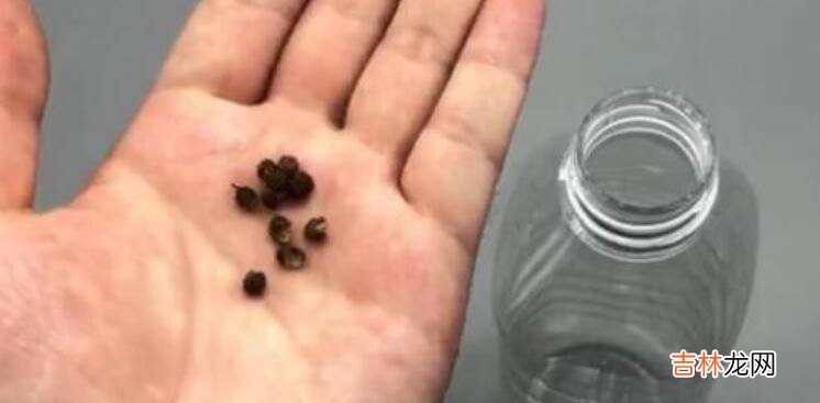 黄豆保质期一般是多久