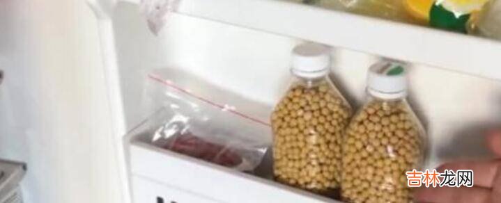 黄豆保质期一般是多久