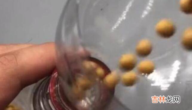 黄豆保质期一般是多久