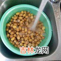 怎样晒黄皮干好吃