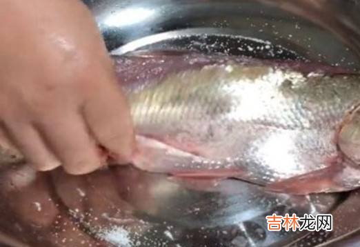 腌鱼的制作方法