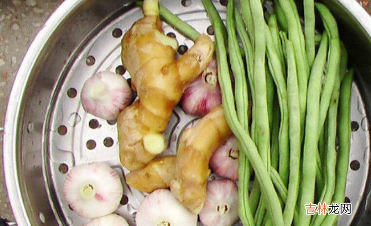泡菜可以泡哪些菜