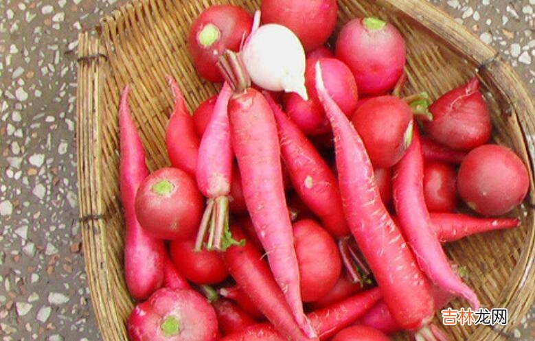 泡菜可以泡哪些菜