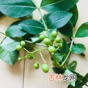 如何腌制好吃的鲜花椒