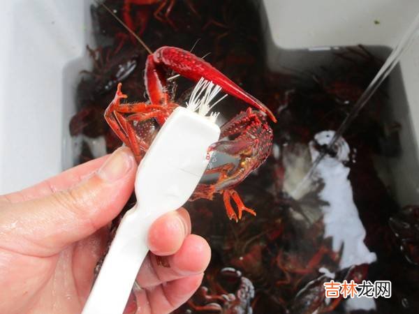 小龙虾怎么做好吃