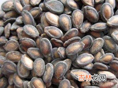 西瓜种子怎么保存到下一年种?