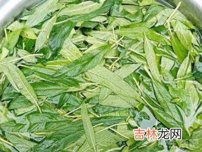 鲜芝麻叶怎么处理?