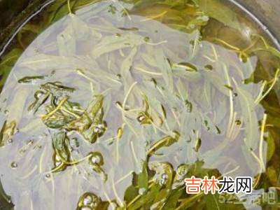 鲜芝麻叶怎么处理?