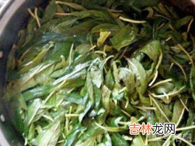 鲜芝麻叶怎么处理?
