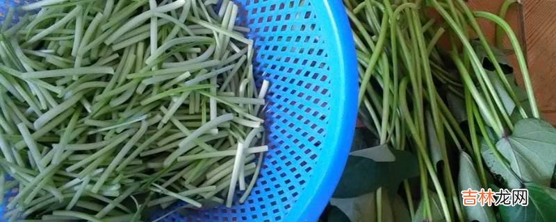 地瓜藤怎么做好吃