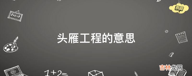 头雁工程的意思