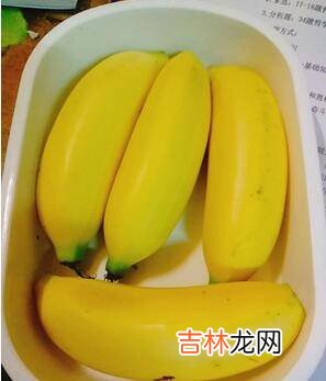 水果便当怎么做