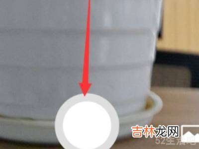 微信背景音乐怎么设置?
