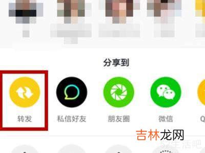 抖音怎么没有转发功能?
