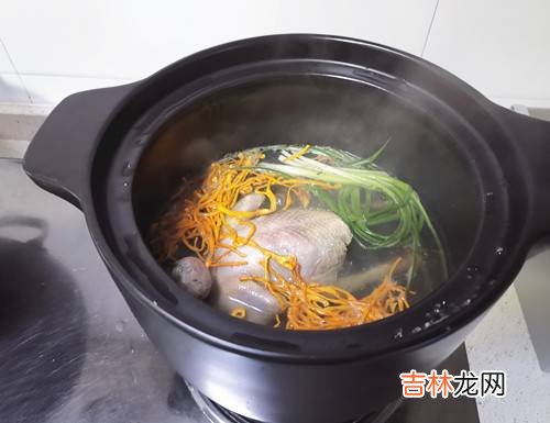 鸽子怎么炖