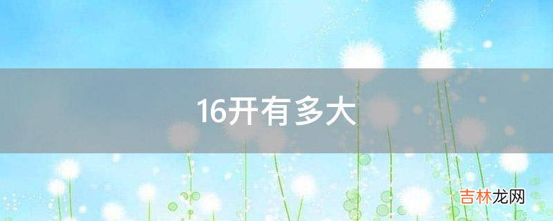 16开有多大