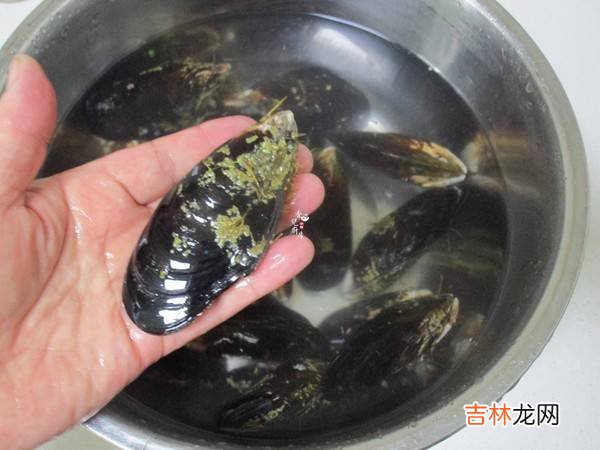 海虹怎么吃