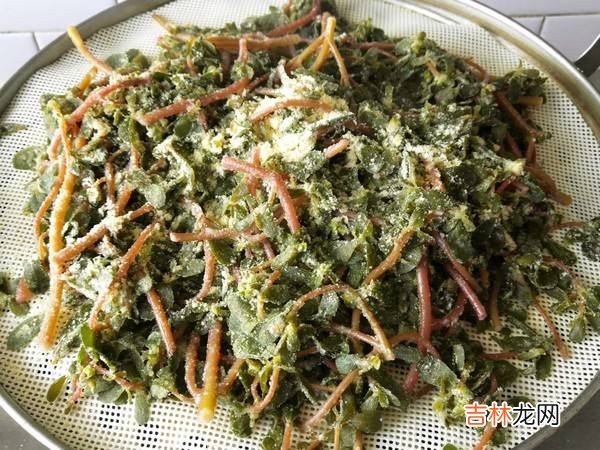 马齿苋怎么吃