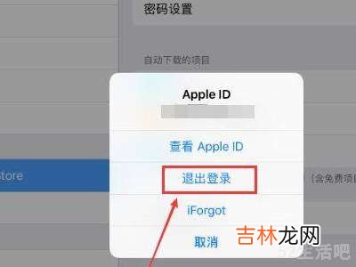 ipad如何退出id账号?