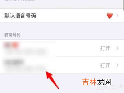 苹果双卡怎么关闭一个?
