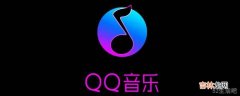 qq音乐收藏的音乐在哪里?