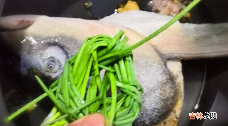 铁皮石斛怎么吃