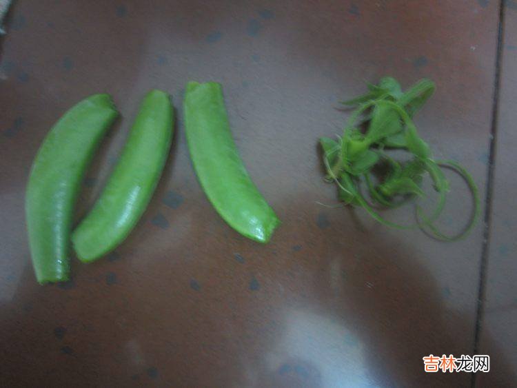 炒大枣怎么炒