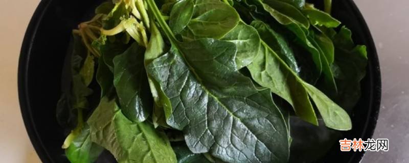 炒菠菜怎么做好吃