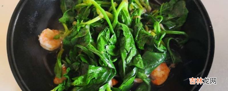 炒菠菜怎么做好吃