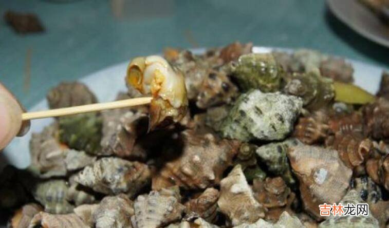 苦螺煮多久