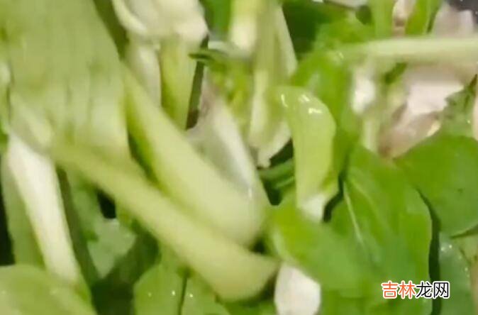 豆腐青菜怎么炒