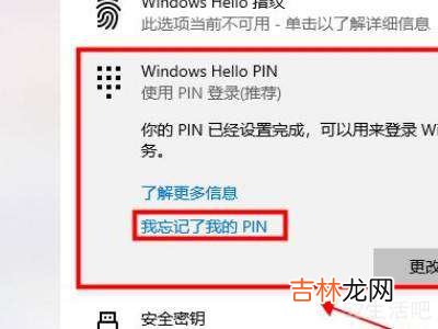 win10忘记pin码进不了系统?