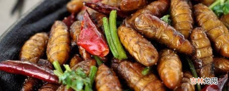 炒蚕蛹怎么做