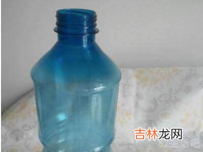 家里的螳螂怎么处理?