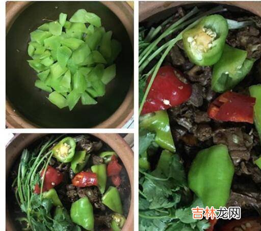 鸽子肉怎么做好吃