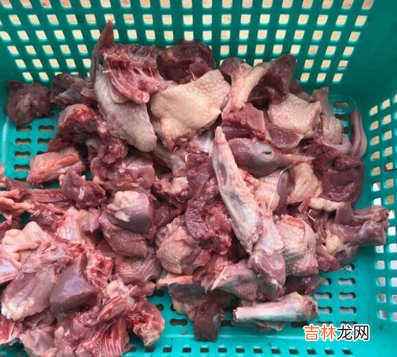 鸽子肉怎么做好吃