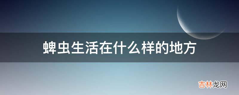 蜱虫生活在什么样的地方