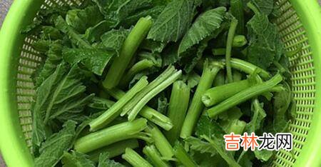 瓜藤怎么炒