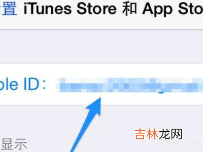 苹果11设置里itunes不见了?