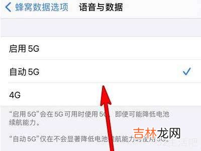 12怎么开5g?