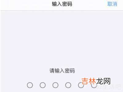 苹果下载东西怎么设置面容?