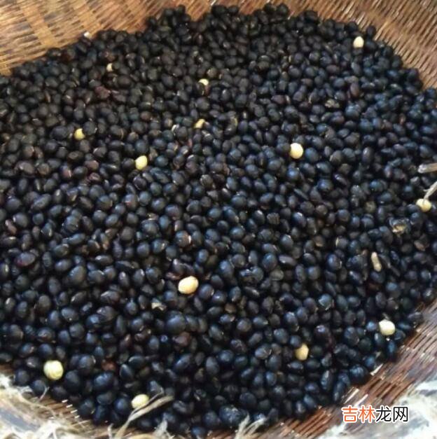 黑豆怎么炒