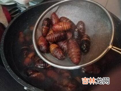 蛹怎么炒好吃